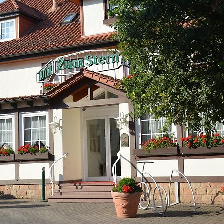 Parkhotel Zum Stern Oberaula المظهر الخارجي الصورة