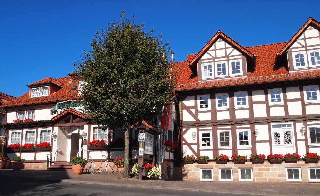 Parkhotel Zum Stern Oberaula المظهر الخارجي الصورة